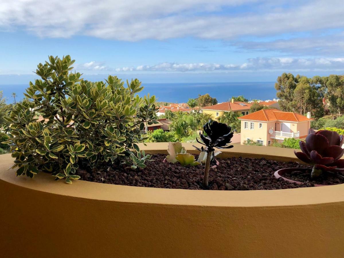 Terraza Vista Oceano La Quinta Apartment Santa Úrsula Екстериор снимка