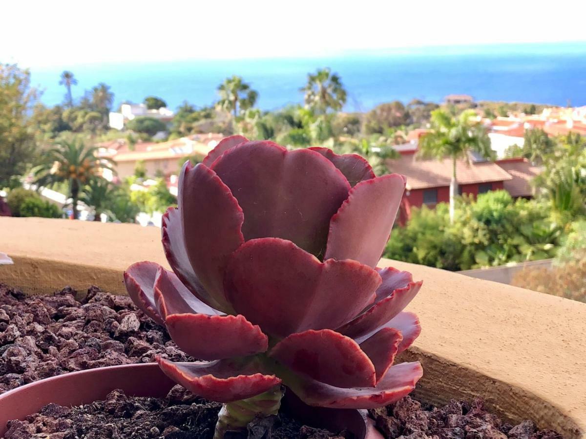 Terraza Vista Oceano La Quinta Apartment Santa Úrsula Екстериор снимка