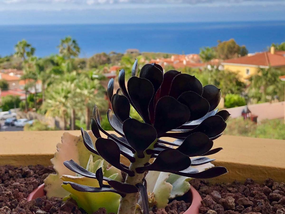 Terraza Vista Oceano La Quinta Apartment Santa Úrsula Екстериор снимка